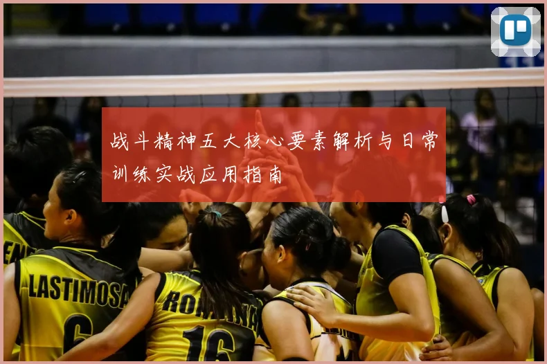 战斗精神五大核心要素解析与日常训练实战应用指南