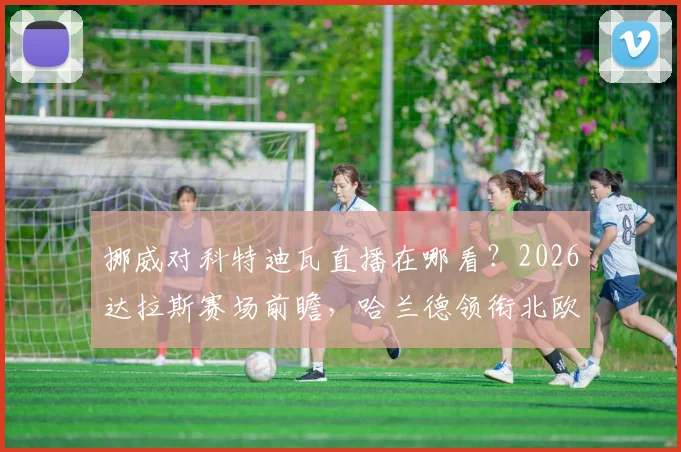 挪威对科特迪瓦直播在哪看?2026达拉斯赛场前瞻,哈兰德领衔北欧海盗对决非洲象